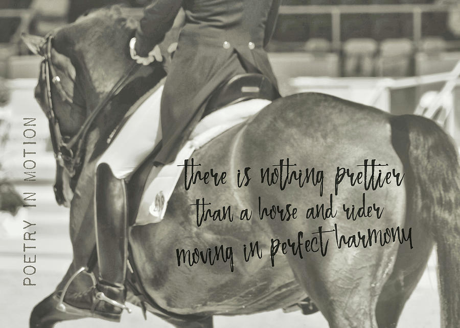 MAJESTIC quote Photograph by Dressage Design