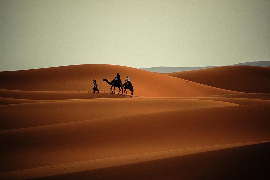 Majestic Sahara Photograph by Robert Grac