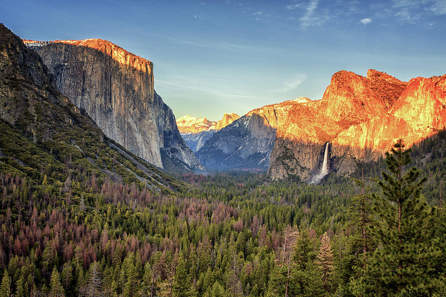 Majestic Yosemite Photograph by Francine Collier