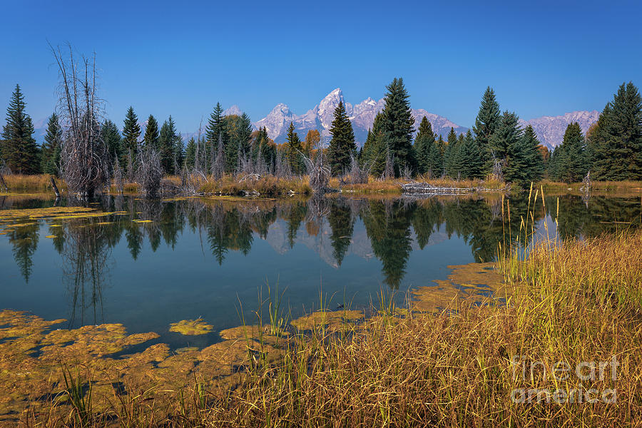 MAJESTY OF TETON NATIONAL PARK by Doug Sturgess MAJESTY OF TETON NATIONAL PARK by Doug Sturgess