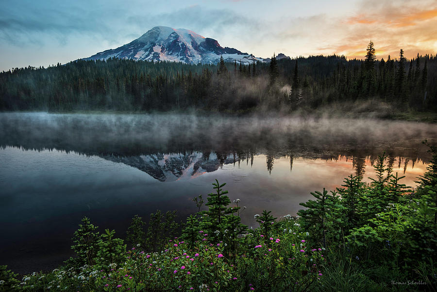 Majesty by T-S Photo Art Majesty by T-S Photo Art