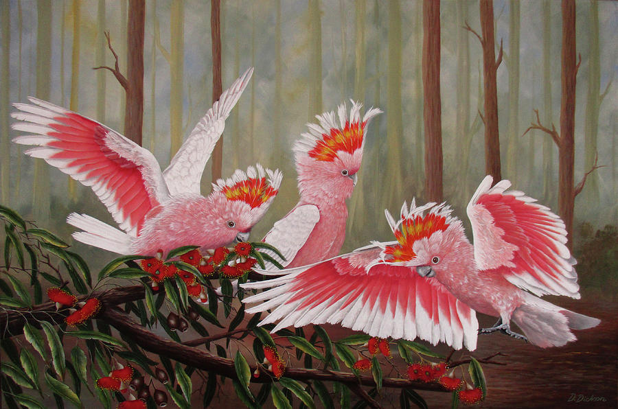 Major Mitchells, Australian parrots by Debra Dickson Major Mitchells, Australian parrots by Debra Dickson