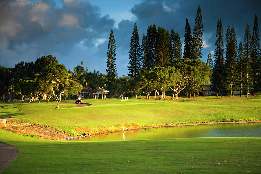 Makai Golf Course In Princeville by Danita Delimont