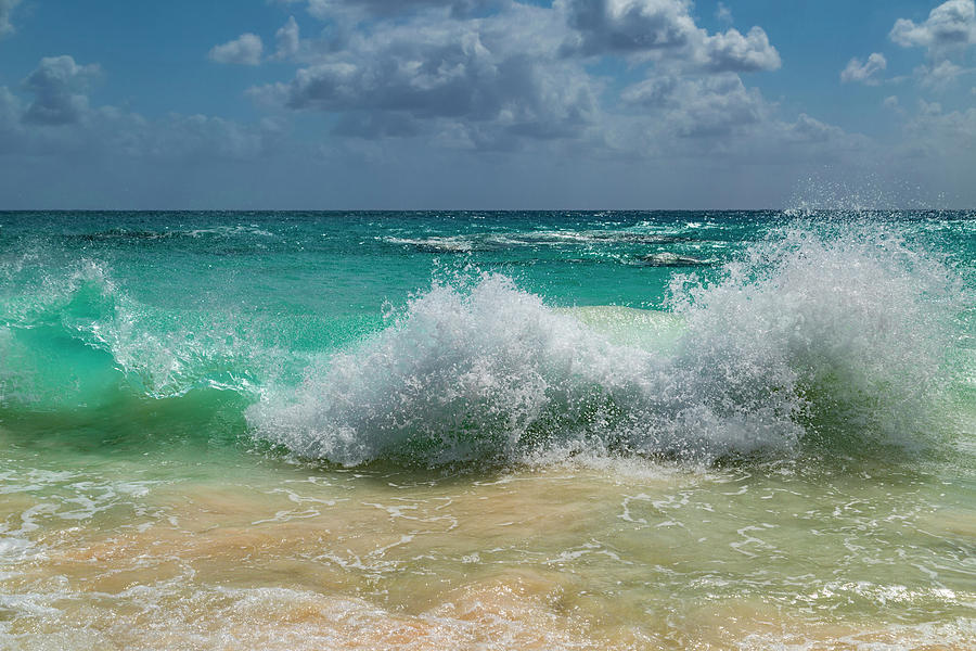 Make a Splash Photograph by Betsy Knapp - Fine Art America