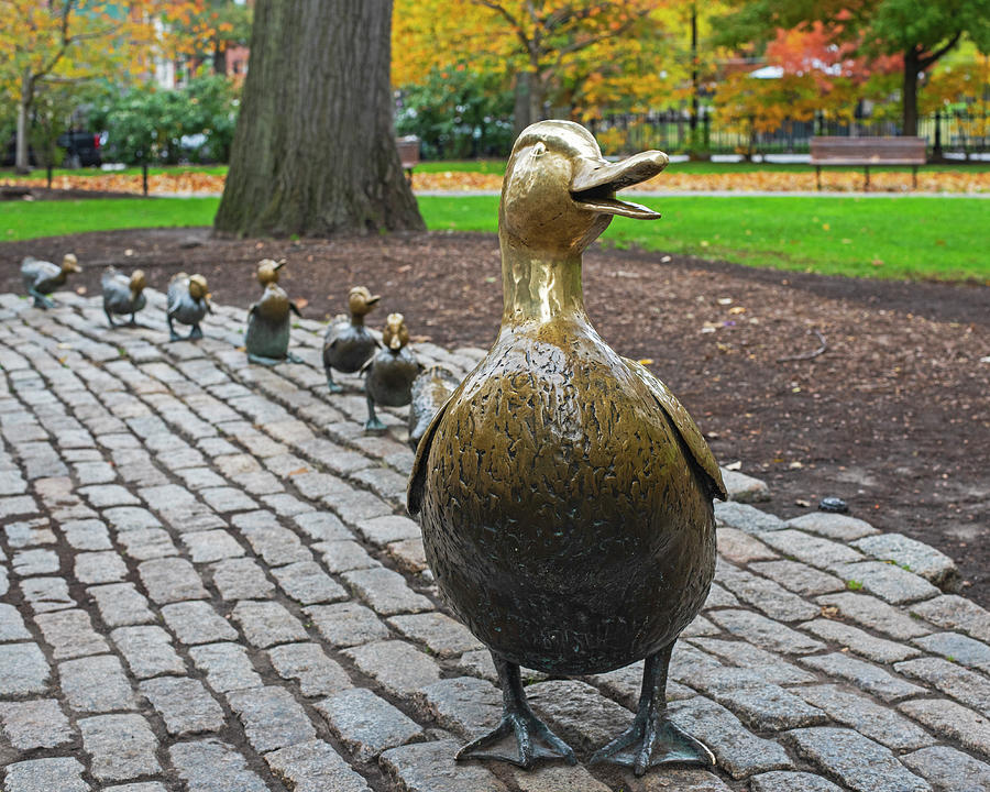 Make Way For Ducklings Autumn Trees Boston Public Garden Boston MA Photograph by Toby McGuire