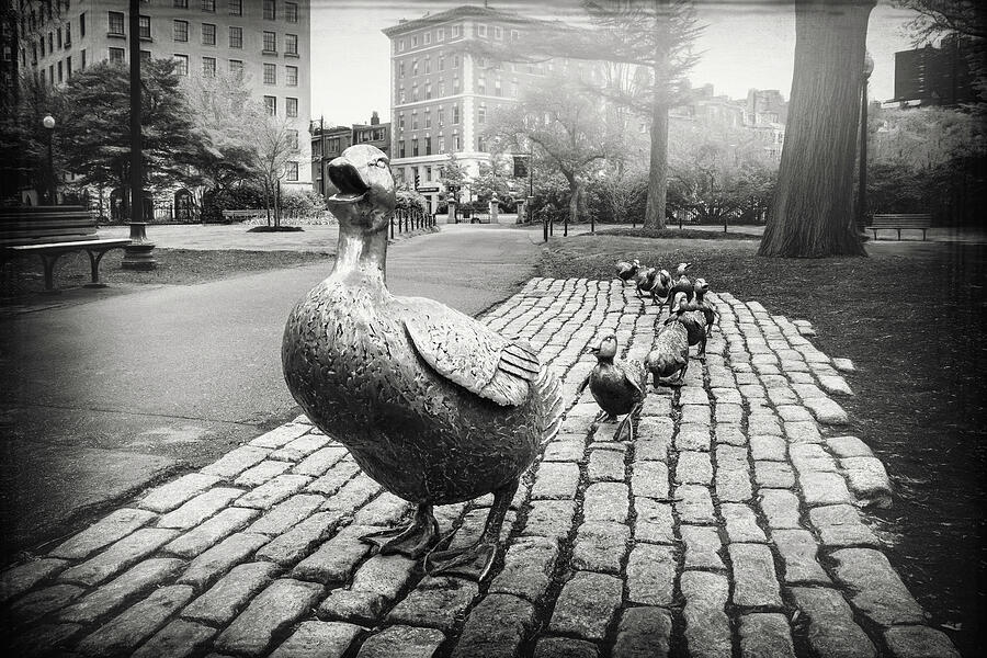 Make Way For Ducklings Boston Black and White Photograph by Carol Japp