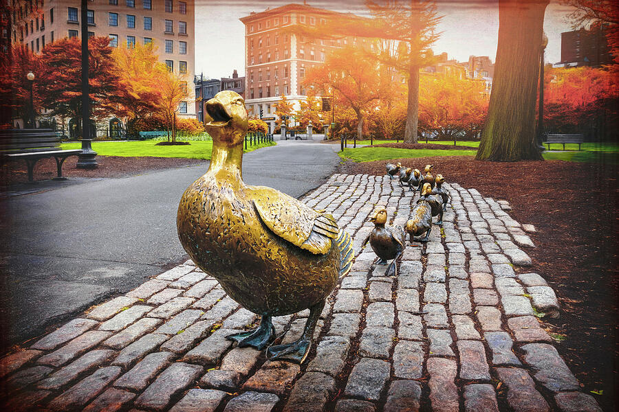 Make Way For Ducklings Boston  Photograph by Carol Japp