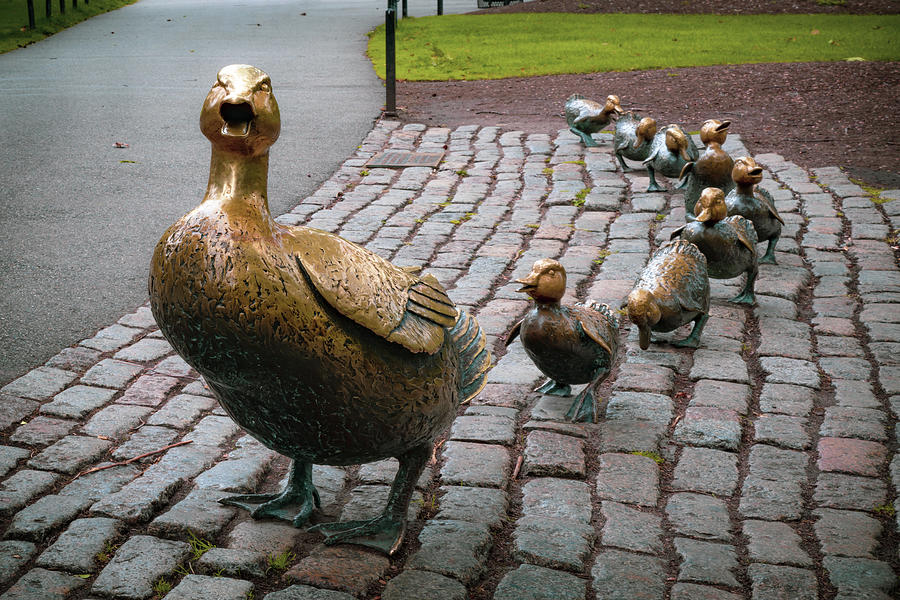 Make Way For Ducklings Photograph - Make Way For Ducklings - Boston Public Garden by Gregory Ballos