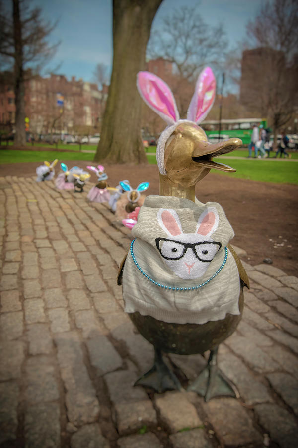 Make Way For Ducklings - Easter Parade Photograph by Joann Vitali