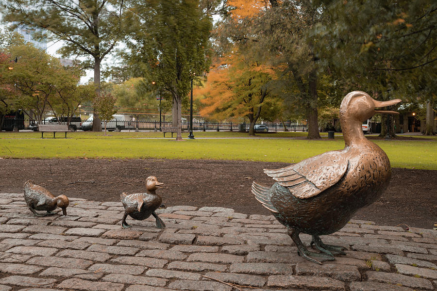 Make Way For Ducklings In Autumn - Boston Massachusetts Photograph