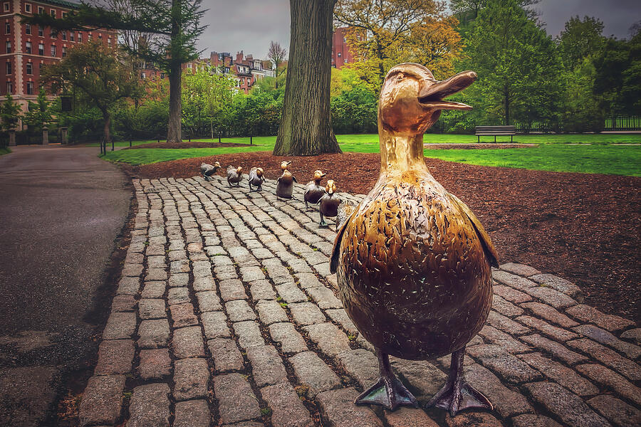 Make Way For Ducklings in Boston  Photograph by Carol Japp