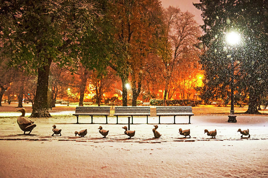 Boston Photograph - Make Way For Ducklings in the Snow Boston Common Boston MA by Toby McGuire