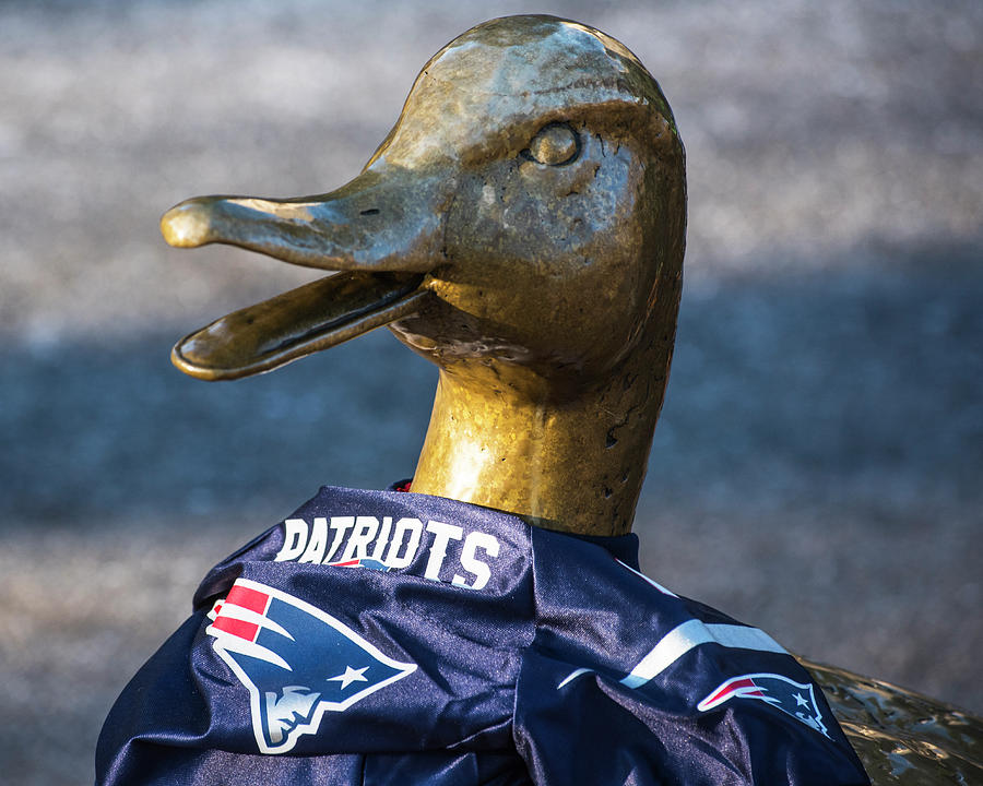Make Way For Ducklings supporting the Patriots- Boston Public Garden Boston MA Game Face Photograph by Toby McGuire