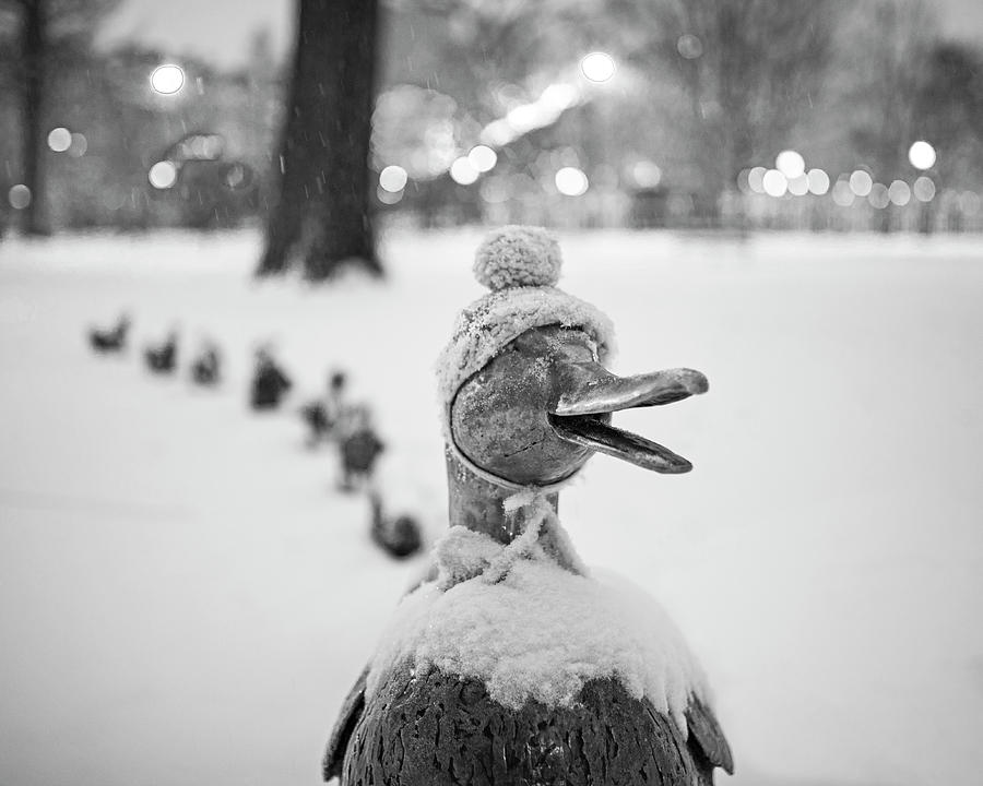Make Way for Ducklings Winter Hats Boston Public Garden Christmas Black and White Photograph by Toby McGuire
