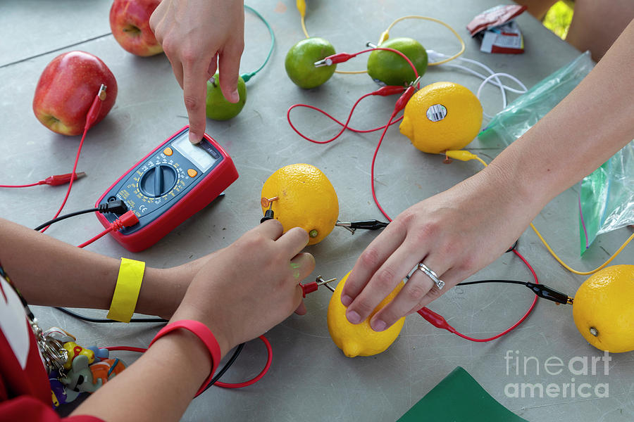 Making Batteries From Fruit Photograph by Science Photo Library Making Batteries From Fruit Photograph by Science Photo Library