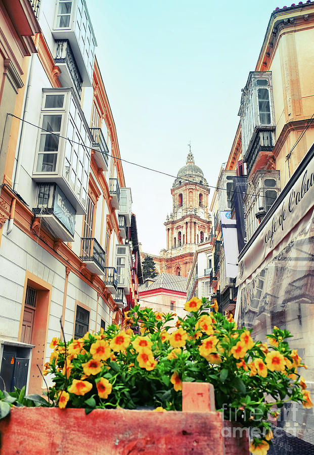 Malaga street, Spain Photograph by Ariadna De Raadt