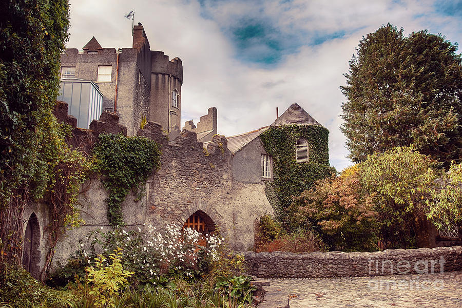 Malahide castle by autumn  Photograph by Ariadna De Raadt