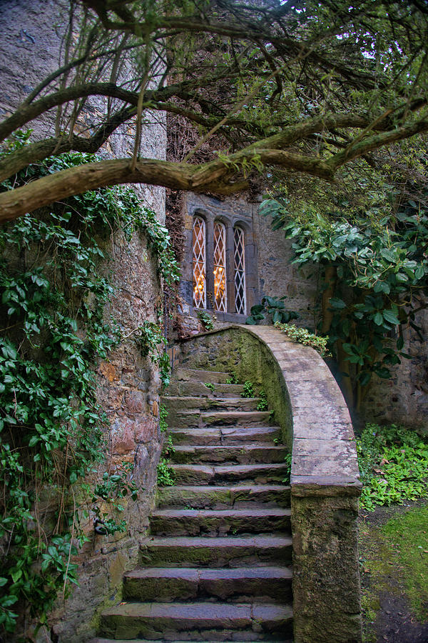 Malahide Castle Ireland Photograph by Curt Rush