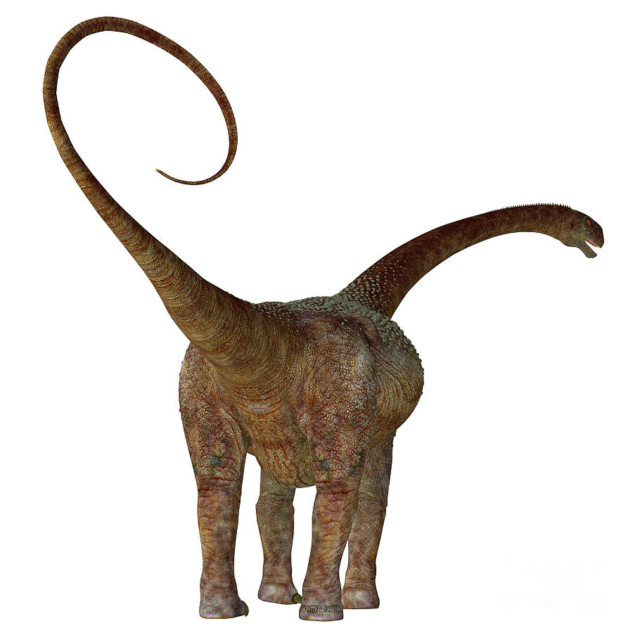Malawisaurus Dinosaur Tail Digital Art by Corey Ford