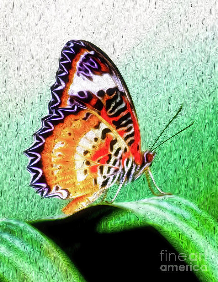  Malay Lacewing Butterfly II Digital Art by Kenneth Montgomery