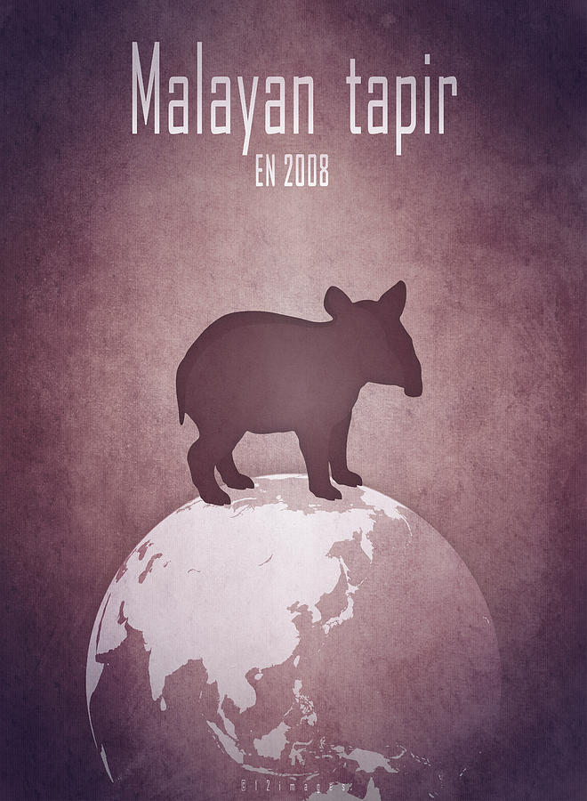 Malayan tapir Digital Art by Moira Risen