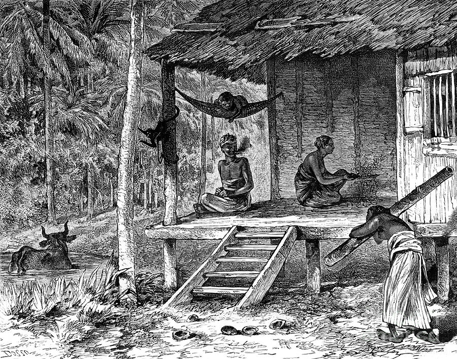 Malaysian Hut, 19th Century. Artist Drawing by Print Collector