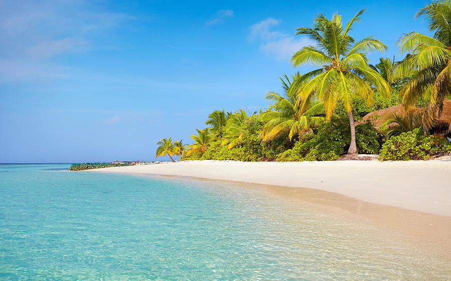 Maldives Beach Landscape Photograph by Jan Wlodarczyk - Fine Art America