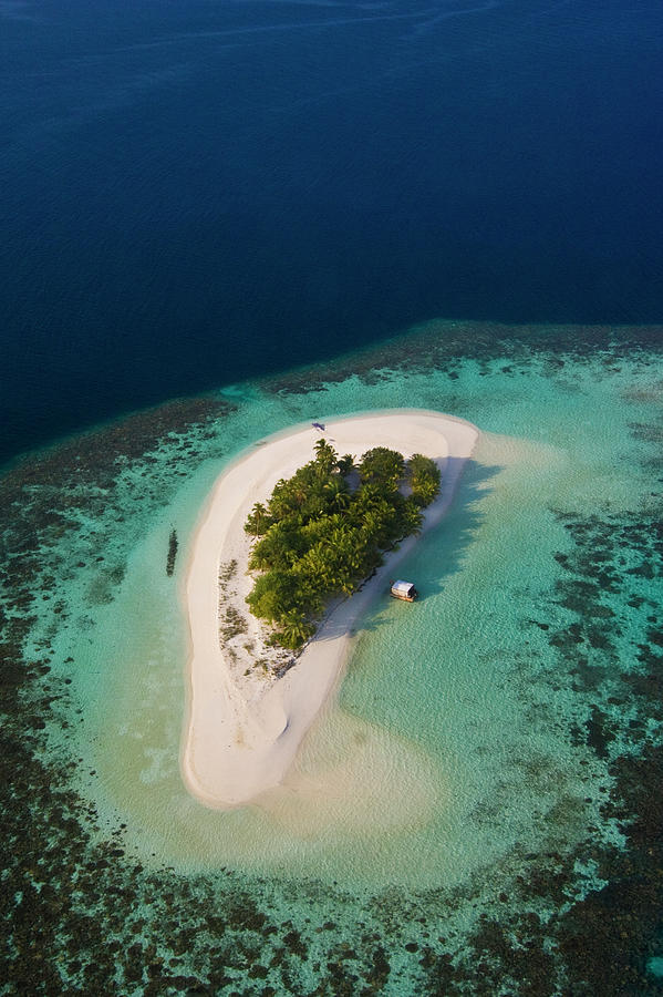 Maldives Island And Coral Reef Photograph by ©  Marie-ange Ostré