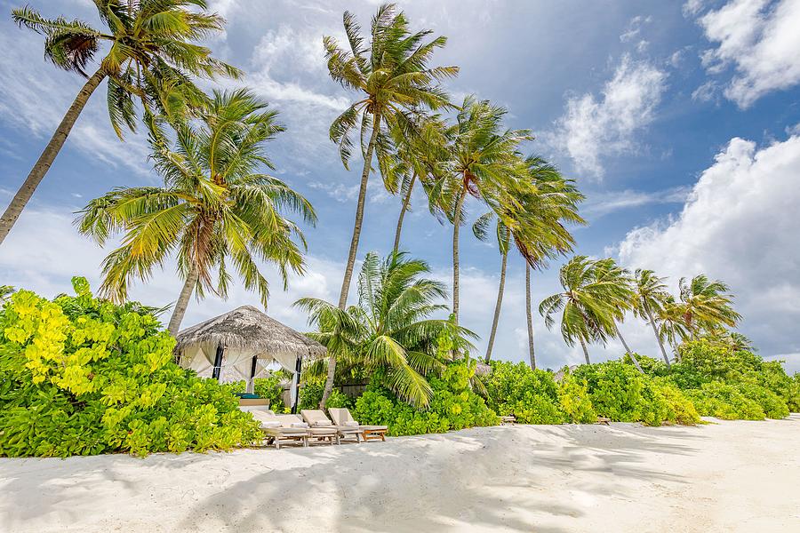 Paradise Photograph - Maldives Paradise Tropical Beach by Levente Bodo