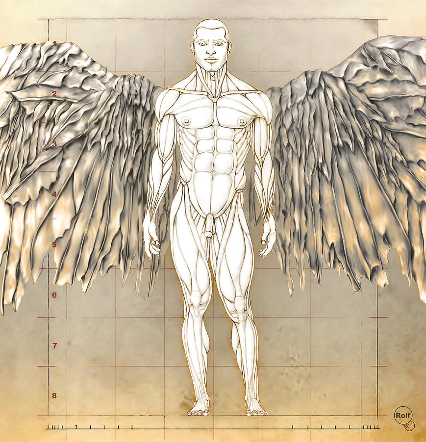 Male Angel 2 Drawing by Rolf Pixels