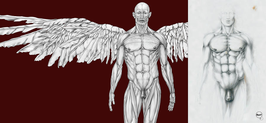 male guardian angel drawing