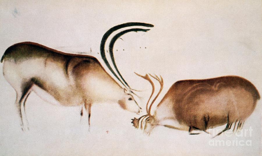 Prehistoric Painting - Male And Female Deer, Magdalenian School, C.13000 Bc by Paleolithic