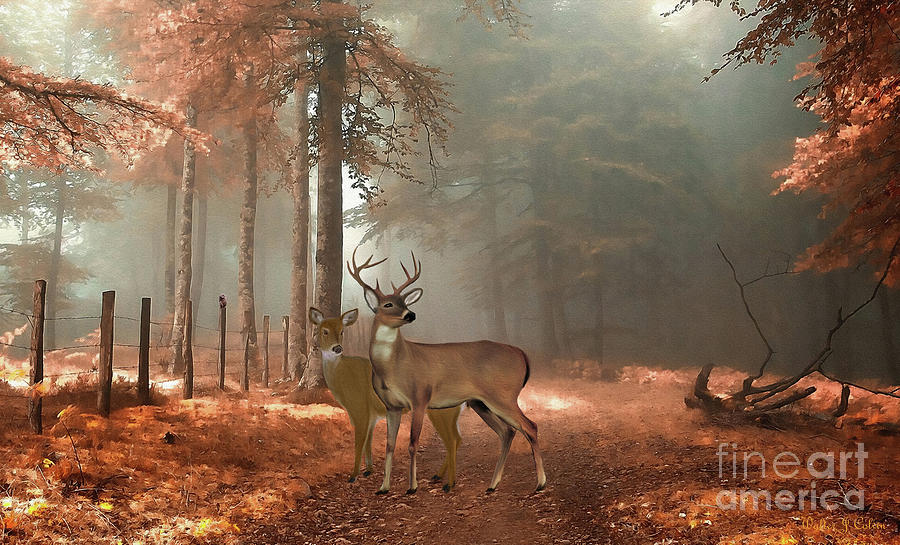 Male and Female Whitetail Deer Digital Art by Walter Colvin