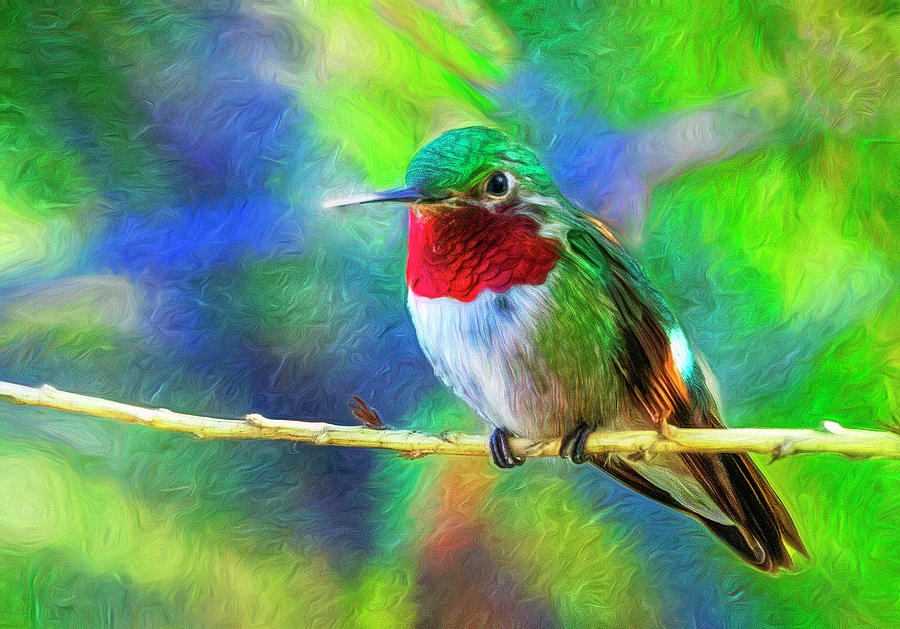 Male Broadtail Hummingbird Mixed Media by Lowell Monke