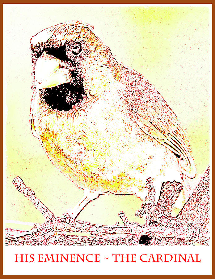 Male Cardinal His Eminence Digital Art by A Macarthur Gurmankin