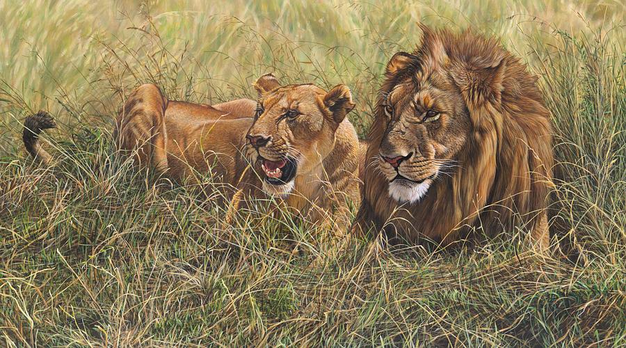 Male Lion And Lioness Resting In The Grass Painting By Alan M Hunt