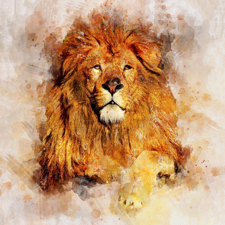 watercolor lion face