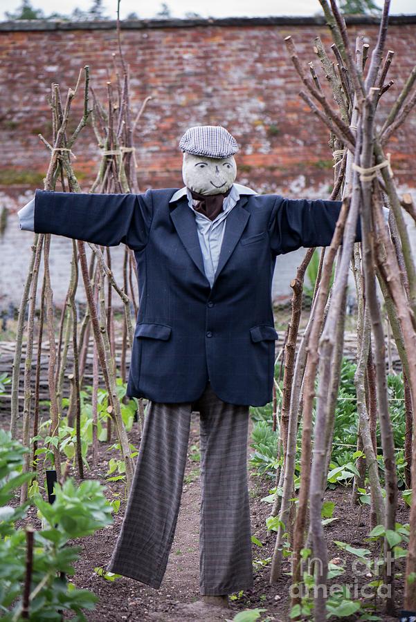 Male Scarecrow Photograph by Adrian Thomas/science Photo Library