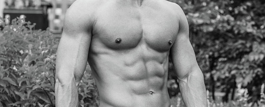 Male Torso 2 by Alexander Image Male Torso 2 by Alexander Image