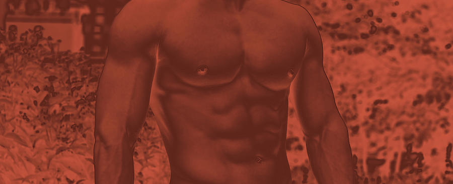 Male Torso by Alexander Image Male Torso by Alexander Image