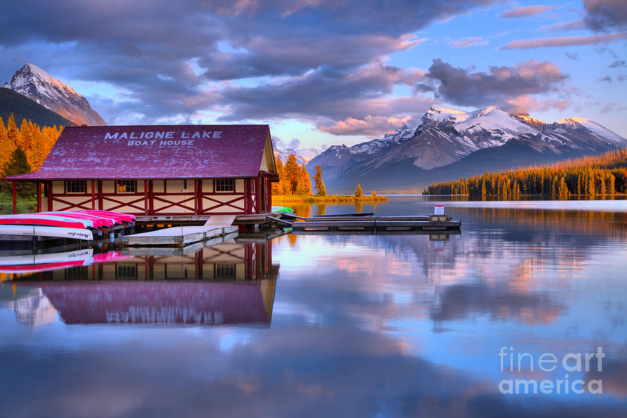 Maligne Lake Pine Clouds And Golden Glow Photograph by Adam Jewell