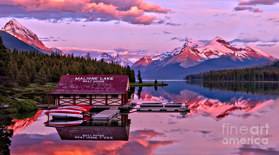 Maligne Lake Pink Perfection Photograph by Adam Jewell