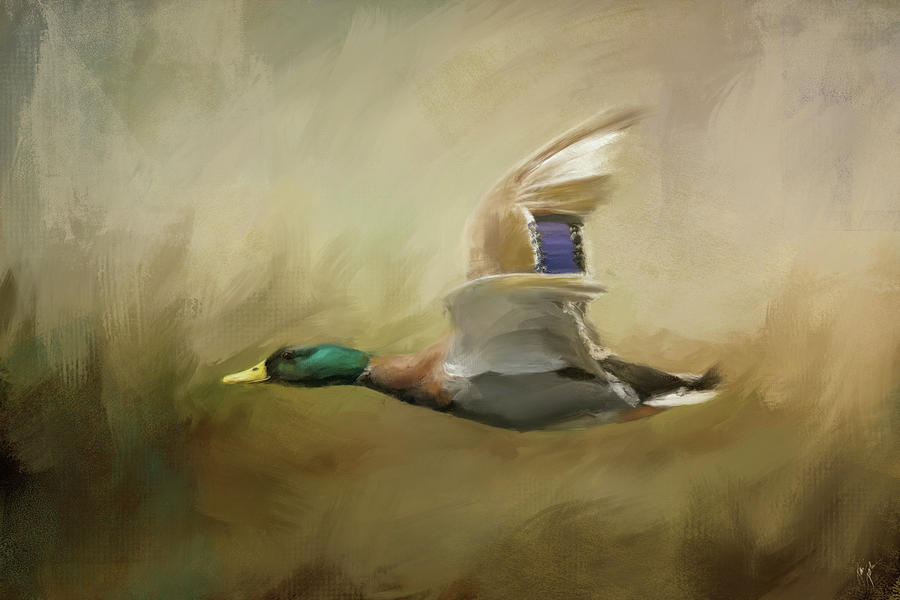 Mallard In The Marsh Painting by Jai Johnson