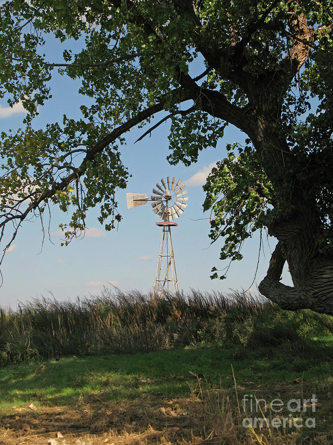 Mallet Ranch Windmill Photograph by Nieves Nitta