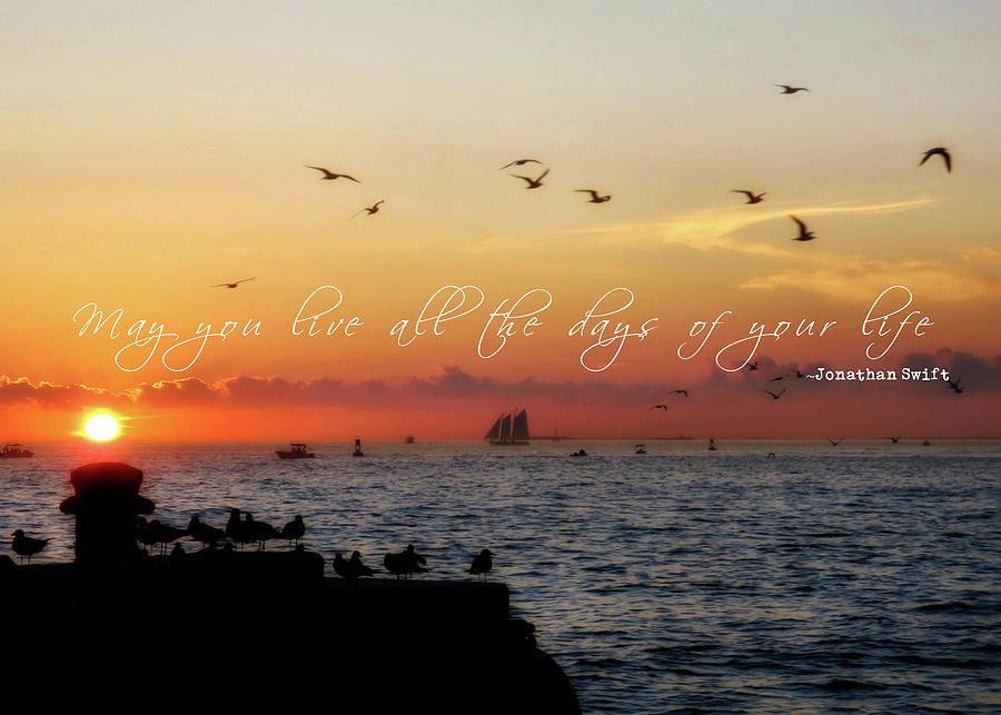 Bird Photograph - MALLORY SQUARE SUNSET quote by JAMART Photography