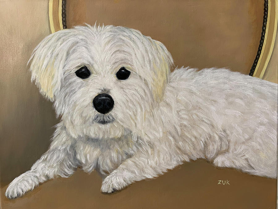 Maltese Dog Painting by Karen Zuk Rosenblatt