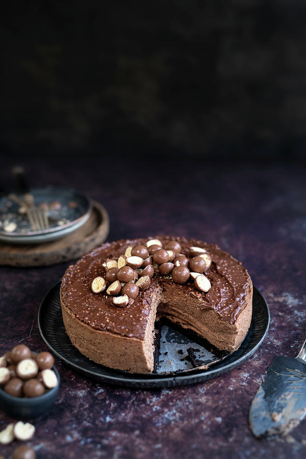 Malteser Cheesecake Photograph by Lucy Parissi