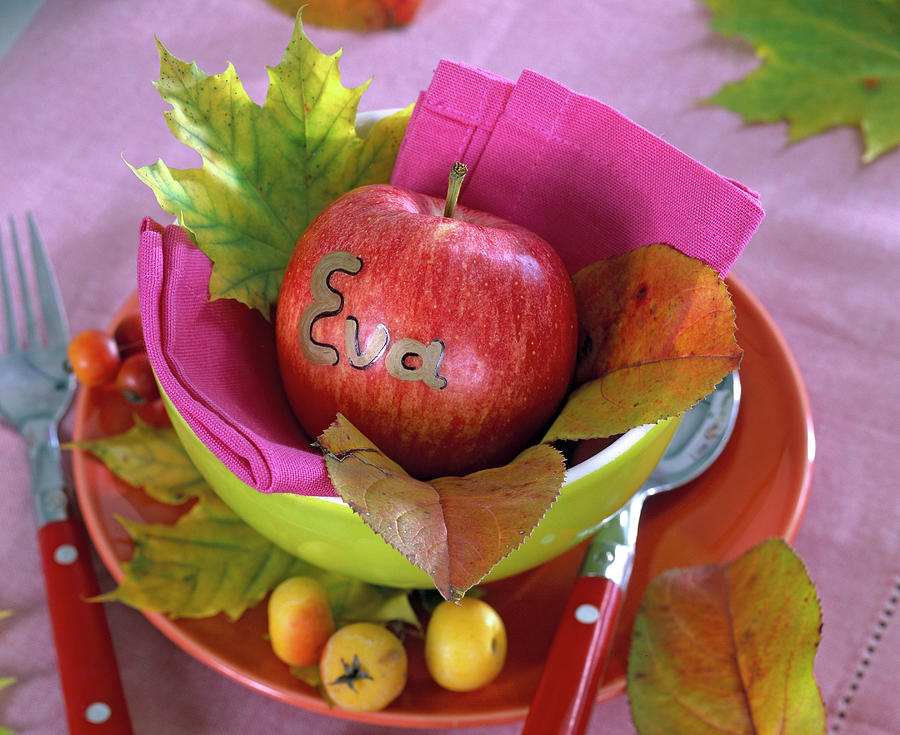 Malus apple As Name Tag eva, Acer maple Foliage Photograph by Friedrich Strauss