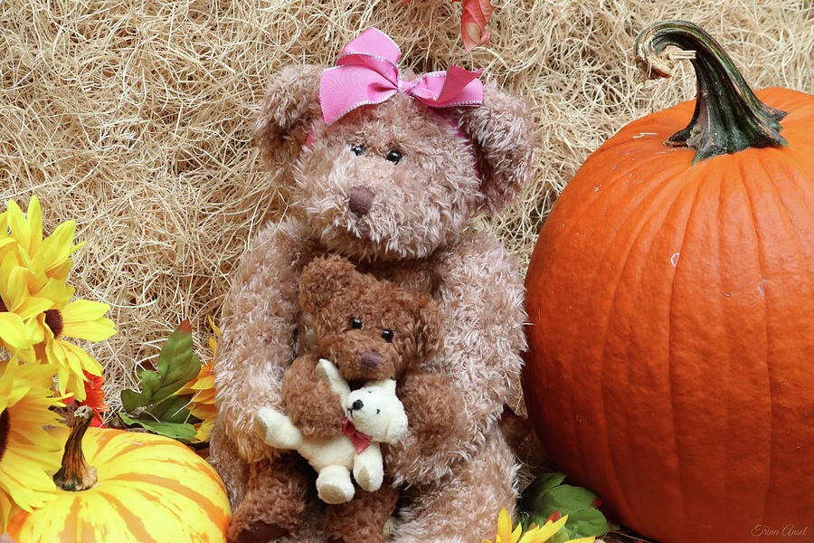 Mama Bear and Baby Bear by Trina Ansel Mama Bear and Baby Bear by Trina Ansel