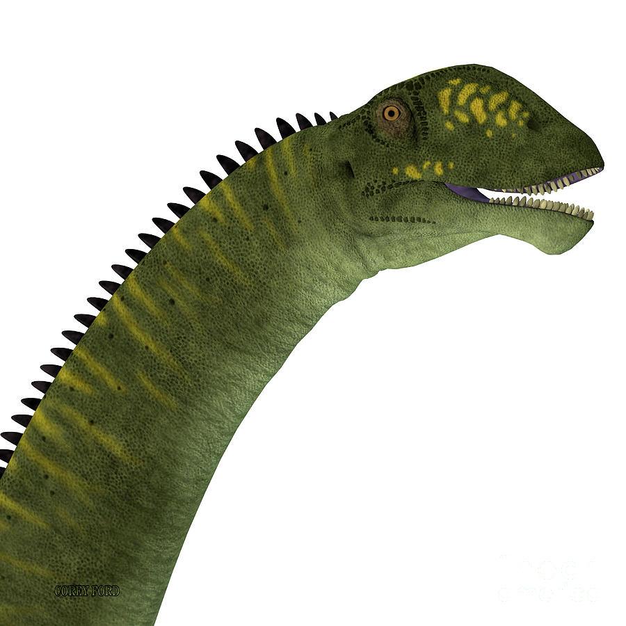 Mamenchisaurus hochuanensis Dinosaur Head Digital Art by Corey Ford
